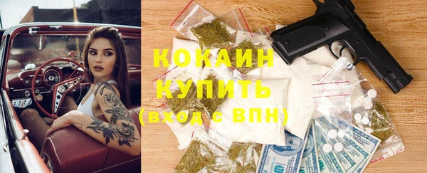 дмт Новозыбков