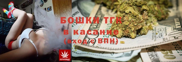 дмт Новозыбков